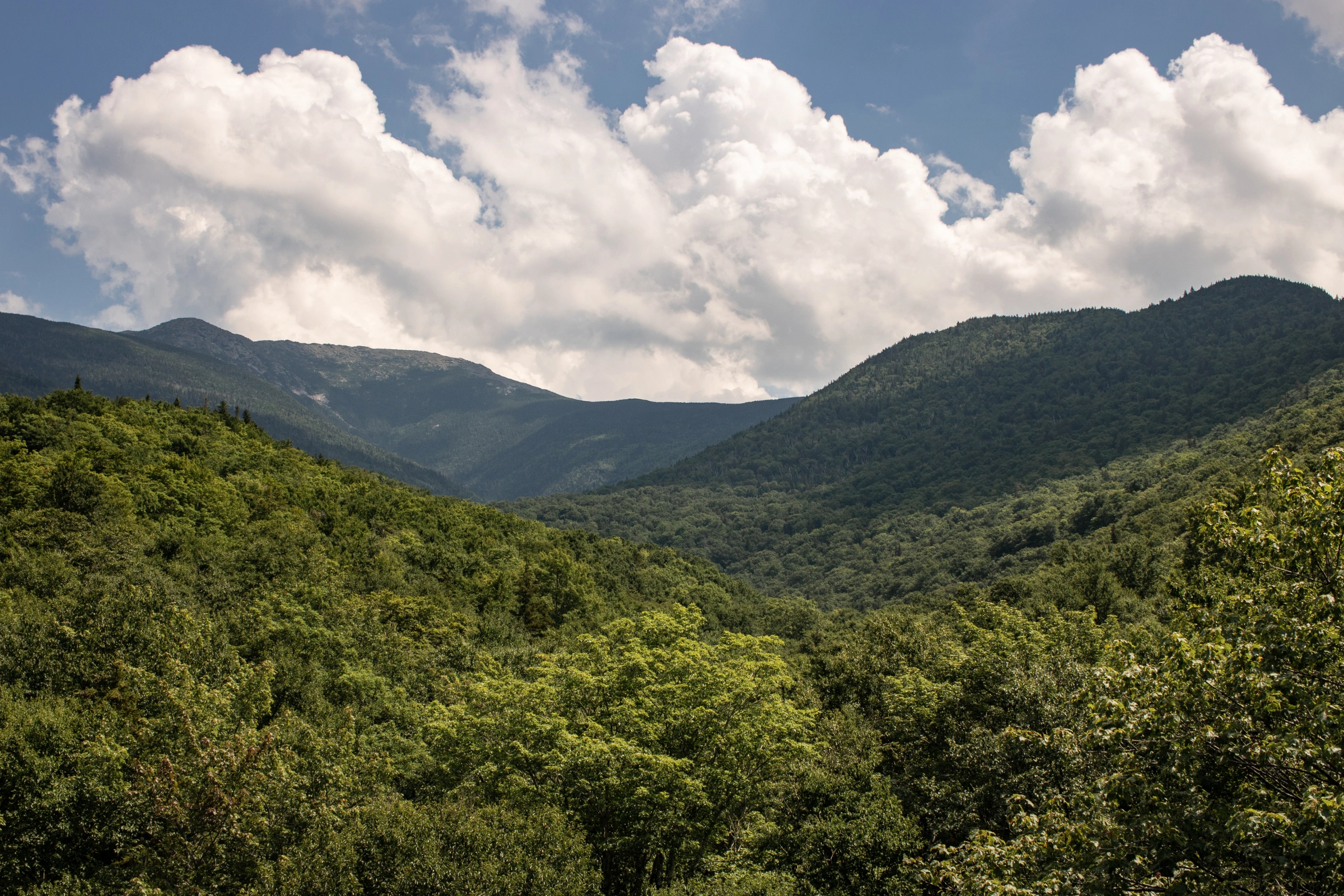 White_Mountains,_New_Hampshire[1].webp